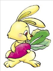 ˫������������