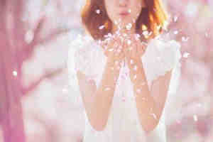 ʮ��������������������Ϣ