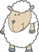 �������������� 6��8����14������