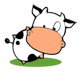 ��ţ���������� 