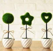 ����Ů�׵�2015��������������֮������