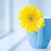 �������������� 2015������annemilk��������