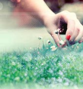 �������������� 2015������annemilk��������