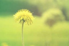 ˮƿ���������� 2015������annemilkˮƿ����