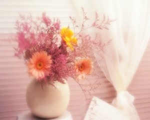 ��ɺ����һ��������