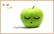 12��������֮����������ǰ��