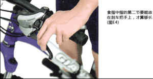 ɽ�س���ȷ����������