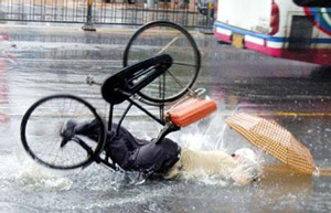 ���������е�ʮ�����