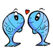 �����2015��������������֮˫����