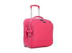 ������������ ������������