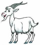 Ħ�����ٱ���Ů�������� 6��1����7������