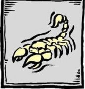 ��Ы���ٱ���Ů�������� 6��1����7������