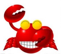 ����������ʲô���� ����������ѯ