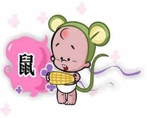 生肖属鼠的年份