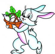 2015����Ф����֮���� ����������Ф����