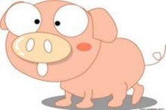 2015��6���������ƴ�ȫ 6�����ƴ�ȫ