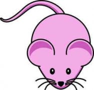 2015��6���������ƴ�ȫ 6����Ф����