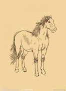 2015��6���������ƴ�ȫ 6����Ф����