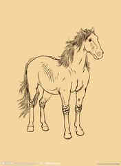 2015��6���������ƴ�ȫ