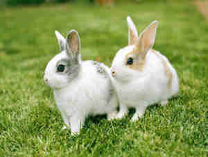 ��ɺ����2015��6������������֮˫����