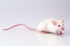 ����2015��6����Ф������ô�� ������������