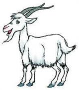 Ħ���������������� 5��25��31������