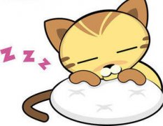 ʮ����èʯ�Ի�ÿ�����ƽ��� 5��25��31������