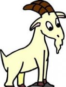 ������������������ 5��25��31������