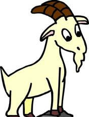 ������������������