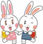 ˫���������������� 5��25��31������