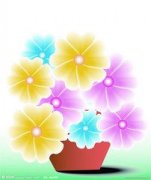 ɭ��¶Ӫע������ ɭ����Ӫ֪ʶ