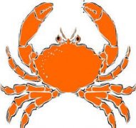 ��з���������ĸо� ��з���յ��������Ż�����