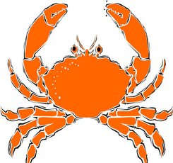 ��з���������ĸо� 