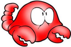 ��Ы���������ĸо� ��Ы���յ��������Ż�����