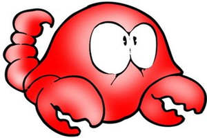 ��Ы���������ĸо�