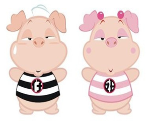 属猪的今年多大