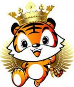 �����ʺϽ������� �����ʺϽ������