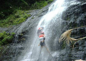 ǧ�������ֻ����Щ