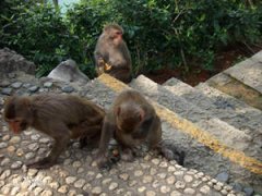 ǧ�����ﵺ����ô Ը�������Ϸ