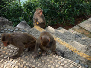 ǧ�����ﵺ����ô