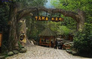 ǧ����ɭ��������ô��