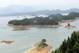 ÷��۵���ô��