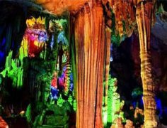 ���ƶ�����ô ���������̬ǧ��