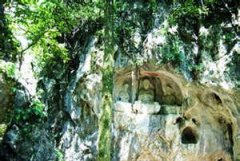 �����徰������ ����ɽ�Ͼ����