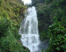 �����Ͽ�Ⱥ���ô �������к�ȥ��