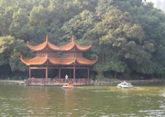 ��ɳ�Ͻ���԰����ô ��Ȼֲ�ﾰ��