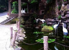 �׺�Ȫ����ô ´ɽ��һ����