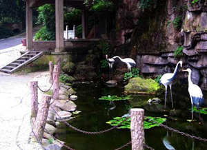 �׺�Ȫ����ô