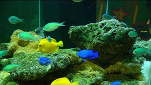 长沙海底世界怎么样