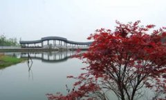 ��ʯ�º�����ô ��´ɽ��ȥ����